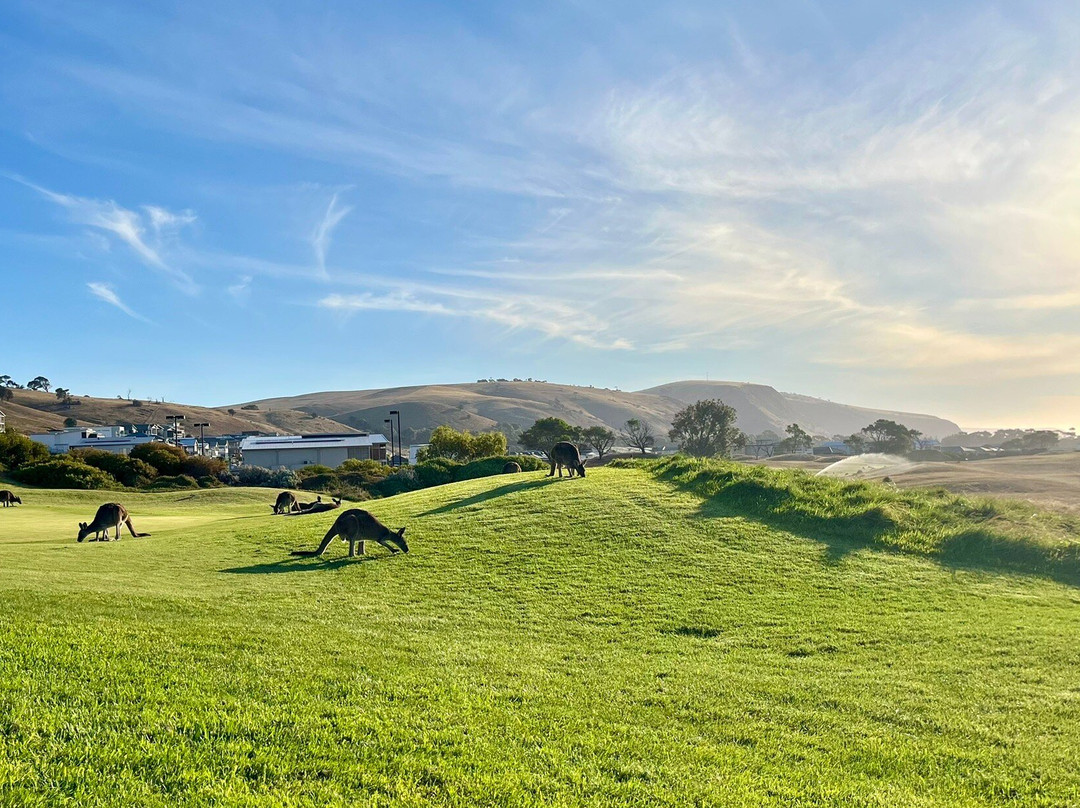 Links Lady Bay Resort主图