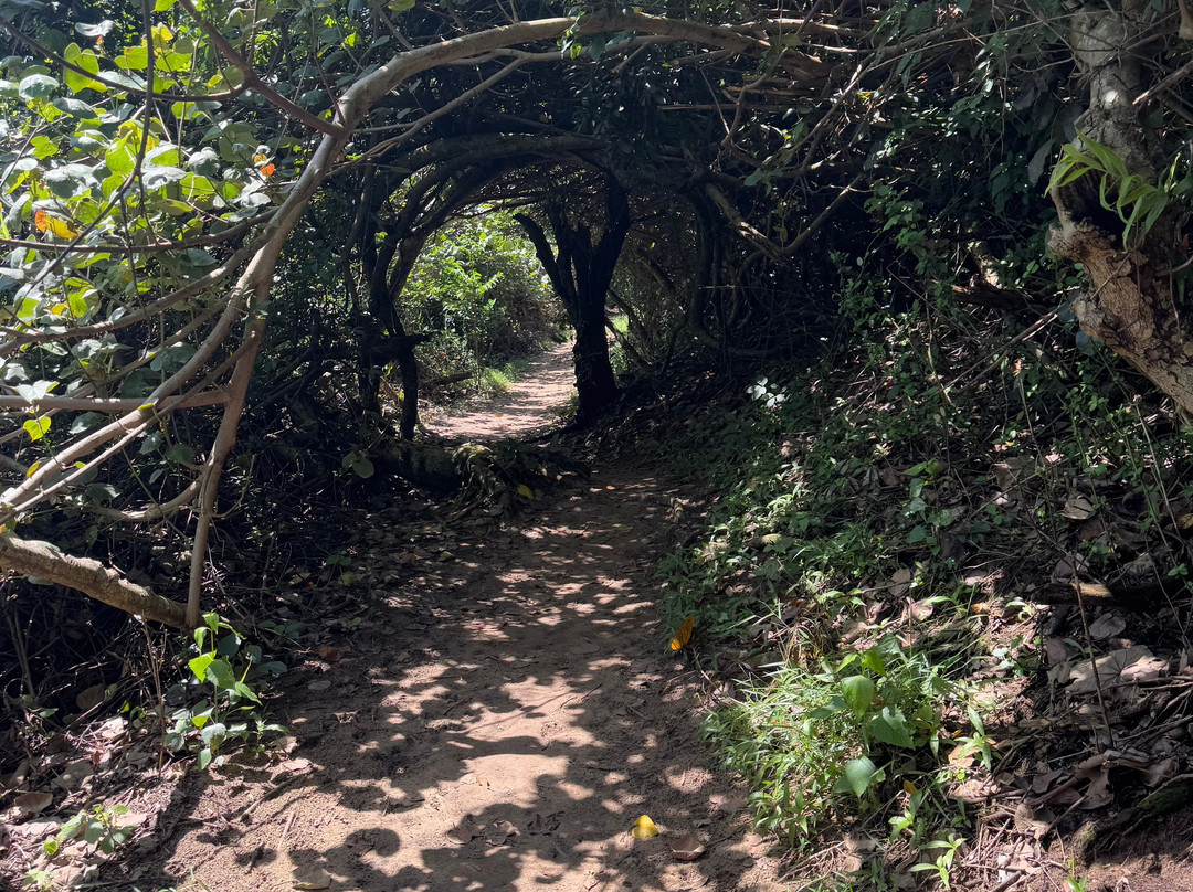 Umhlanga Lagoon Nature Reserve-Umhlanga必去景点
