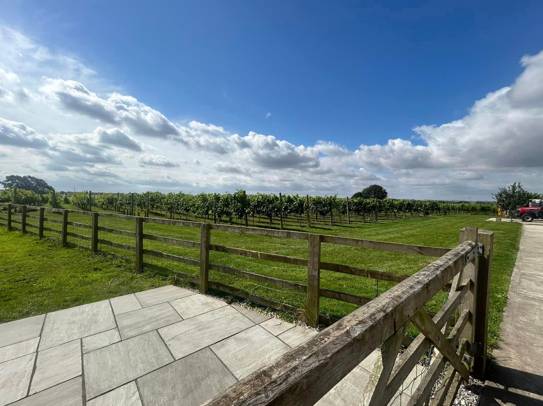 Laurel Vines Vineyard And Winery景点图片