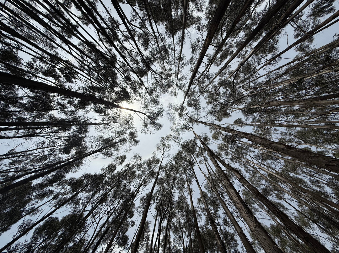 Escápate Slow Tourism-库斯科必去景点