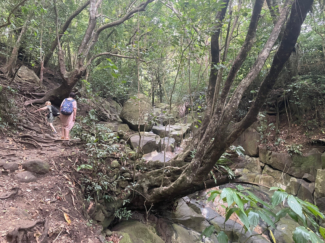 Cascade Le Saut de L'Acomat-Pointe-Noire必去景点