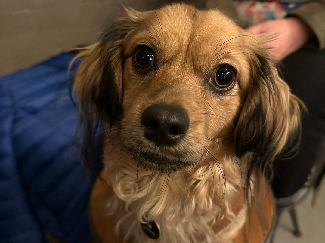 B33r At 33-Horwich必去景点