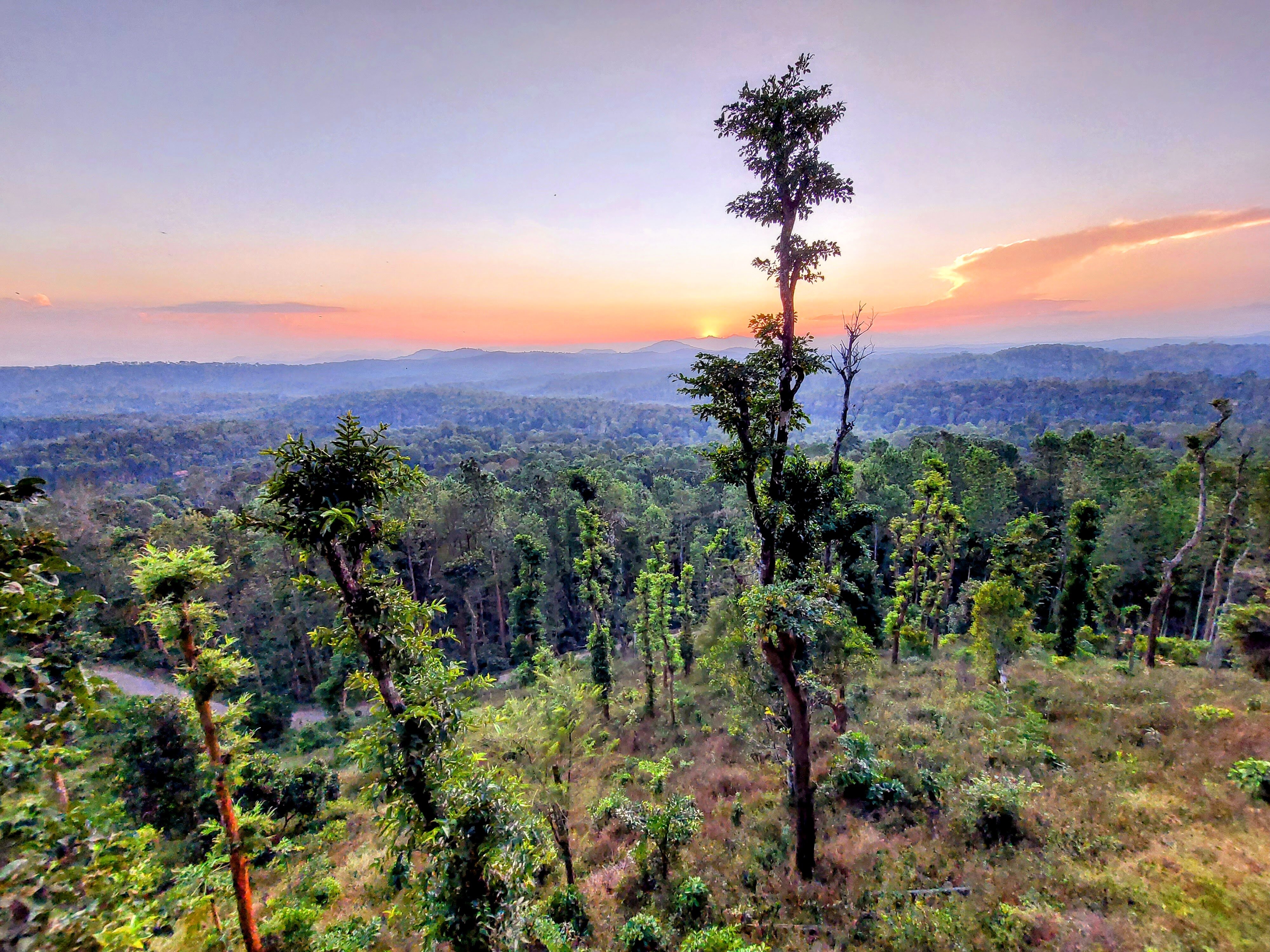 Coorg Cliffs Resort & Spa-酒店景观