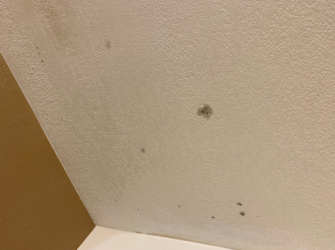 Extended Stay America Select Suites - Washington D.C. - Germantown - Town Center主图