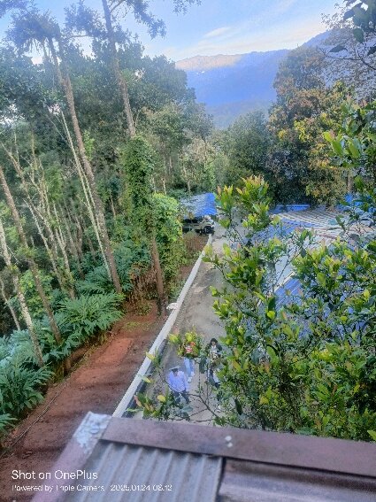 Eterno Camellia & Elettaria-官方