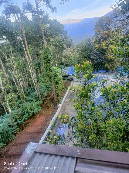 Eterno Camellia & Elettaria主图