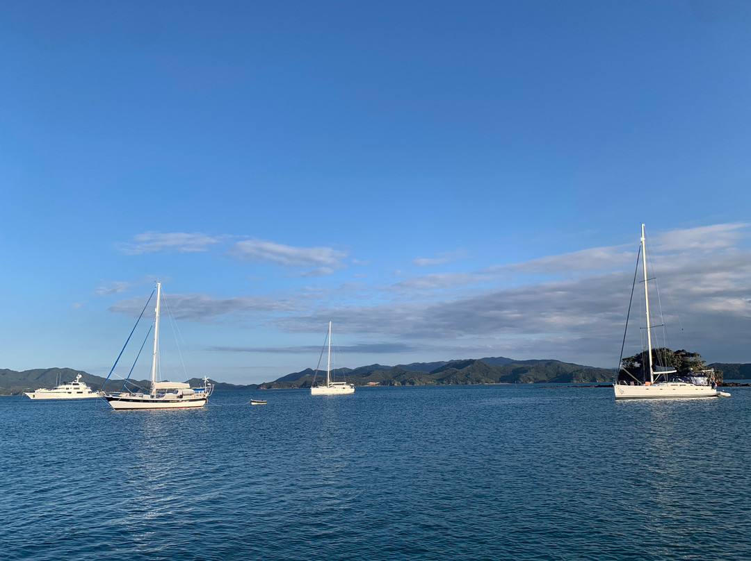 Bay of Islands Yacht Charters景点图片