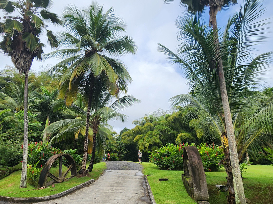 Habitation Saint-Etienne-Gros-Morne必去景点