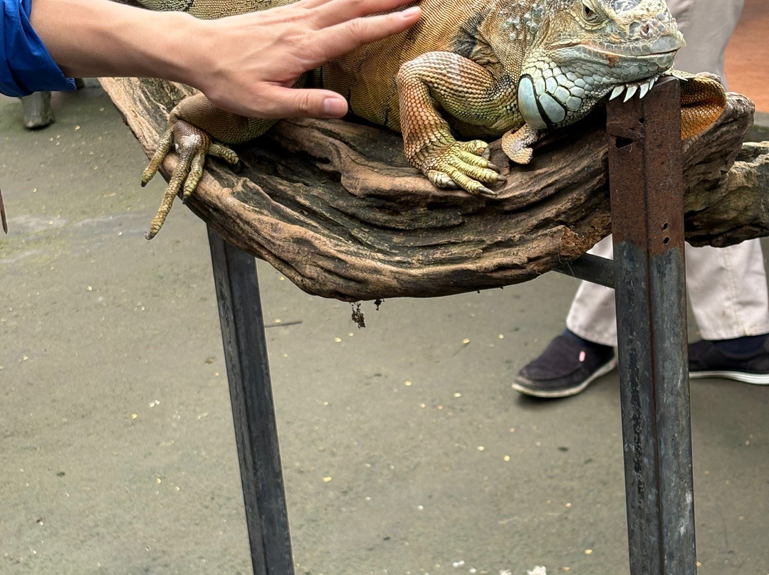 Hidden Mini Zoo Bali景点图片