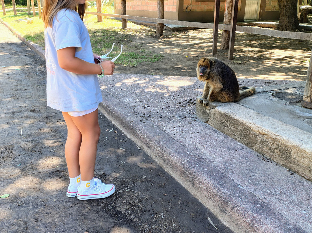 Eco de América-América必去景点