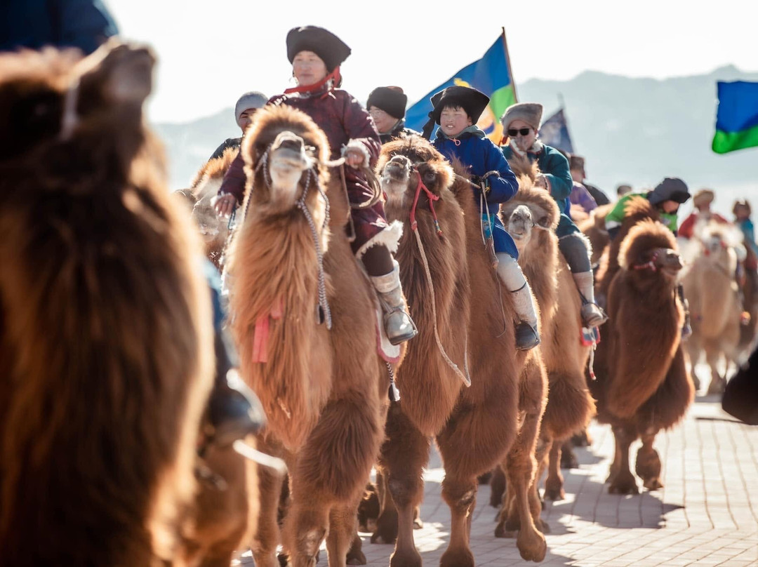 The Gobi Desert Thousand Camel Festival-Dalanzadgad必去景点