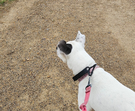 Dragon Park-巴黎必去景点