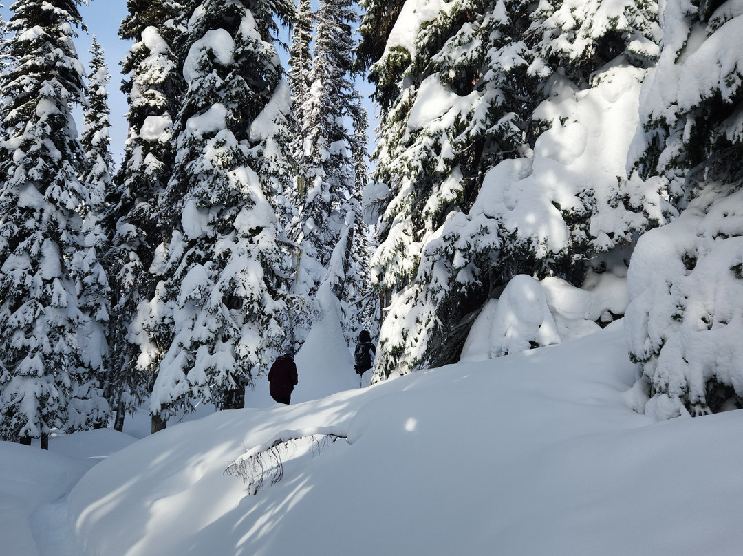 Revelstoke Snowshoe Company景点图片
