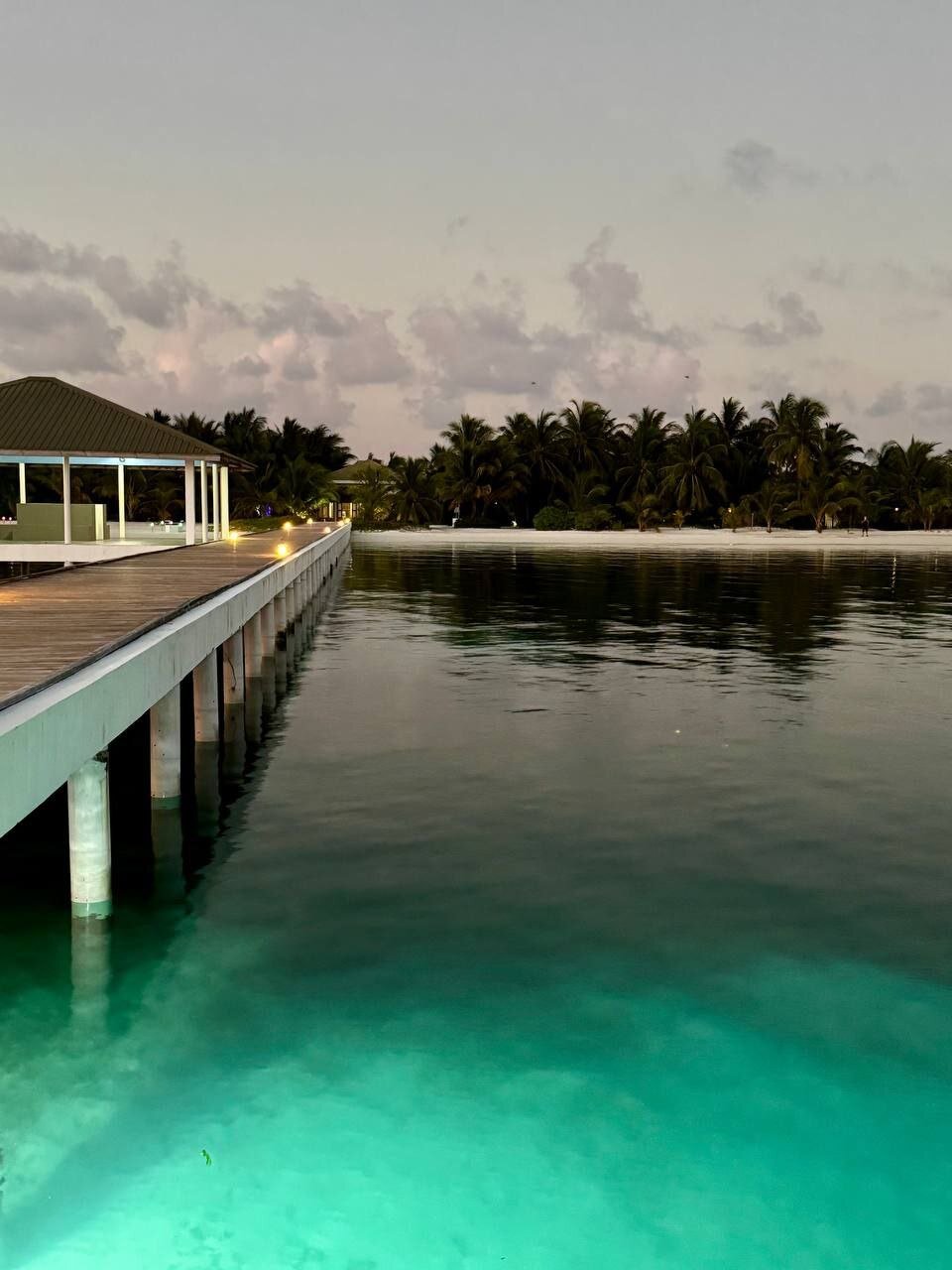 South Palm Resort Maldives-泳池