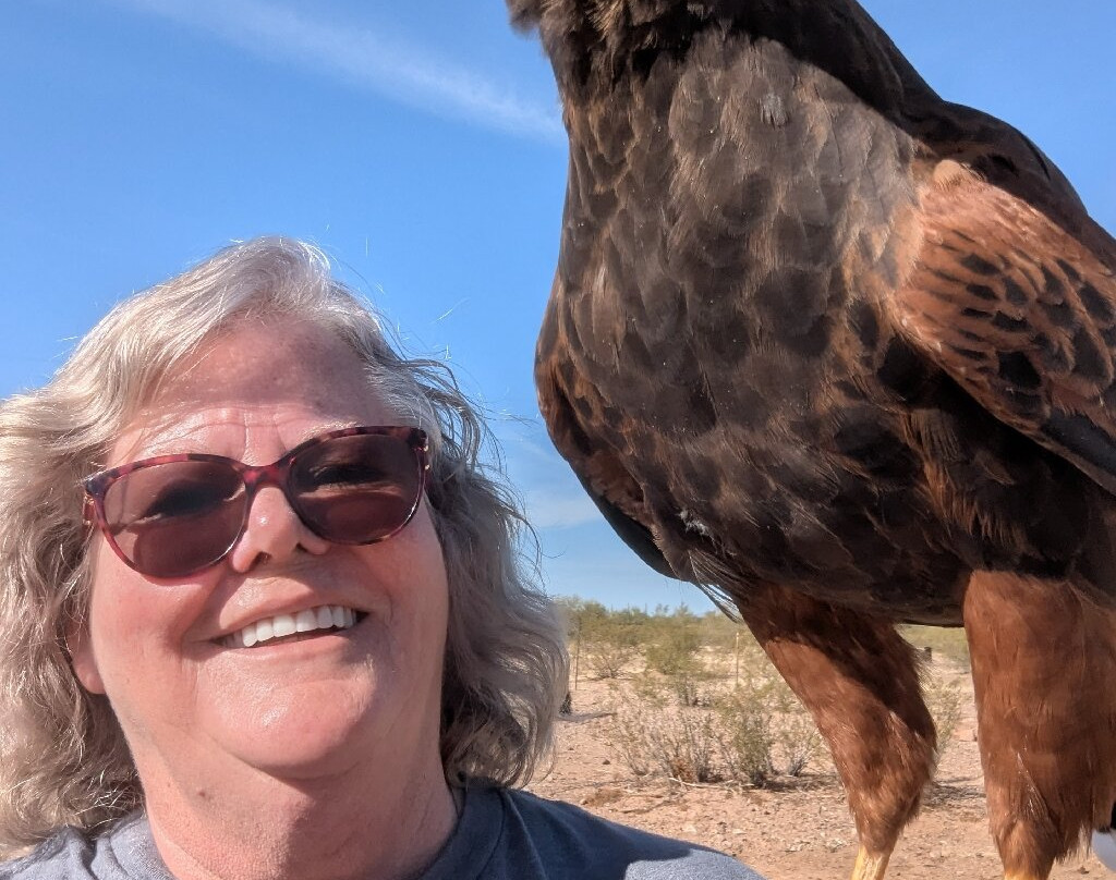 Sky Island Falconry Experience-图森必去景点