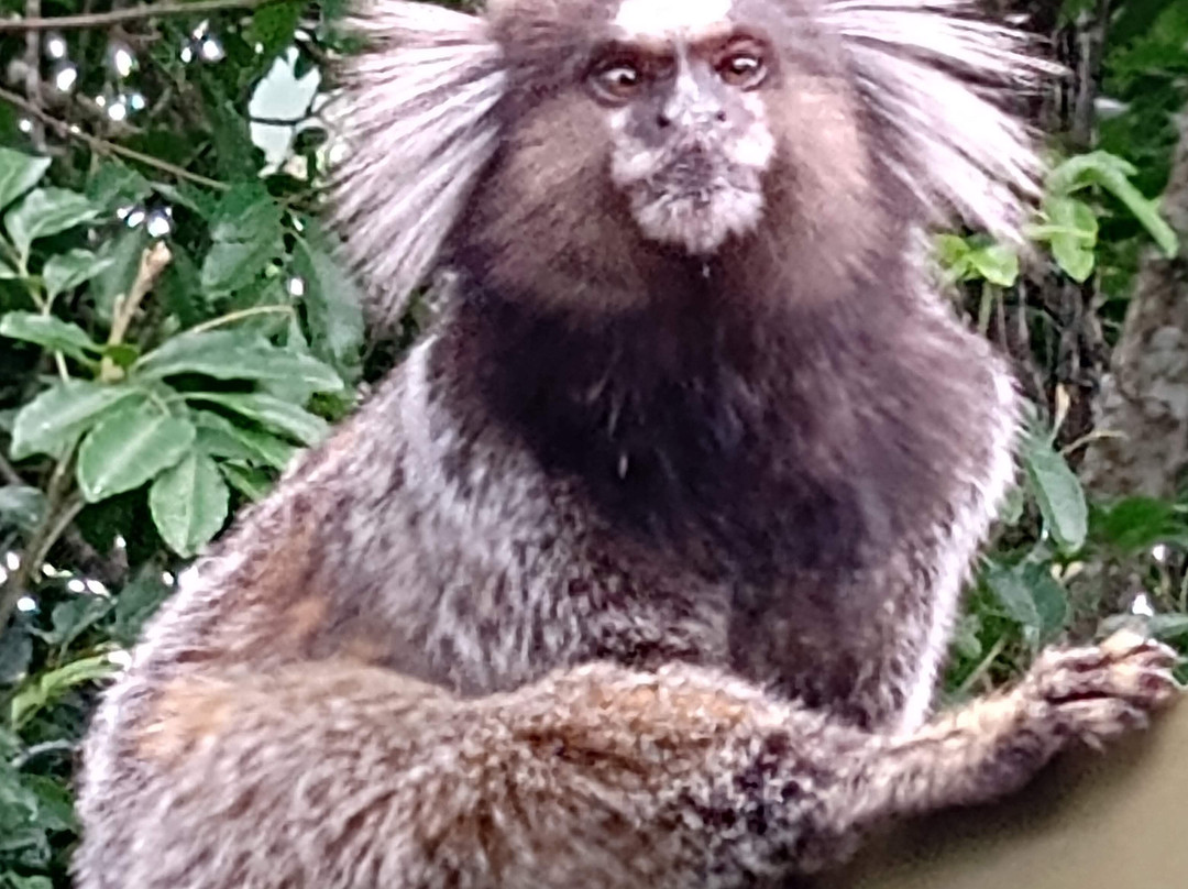 Rio Tour Leader - Marcelo Fontes-里约热内卢必去景点