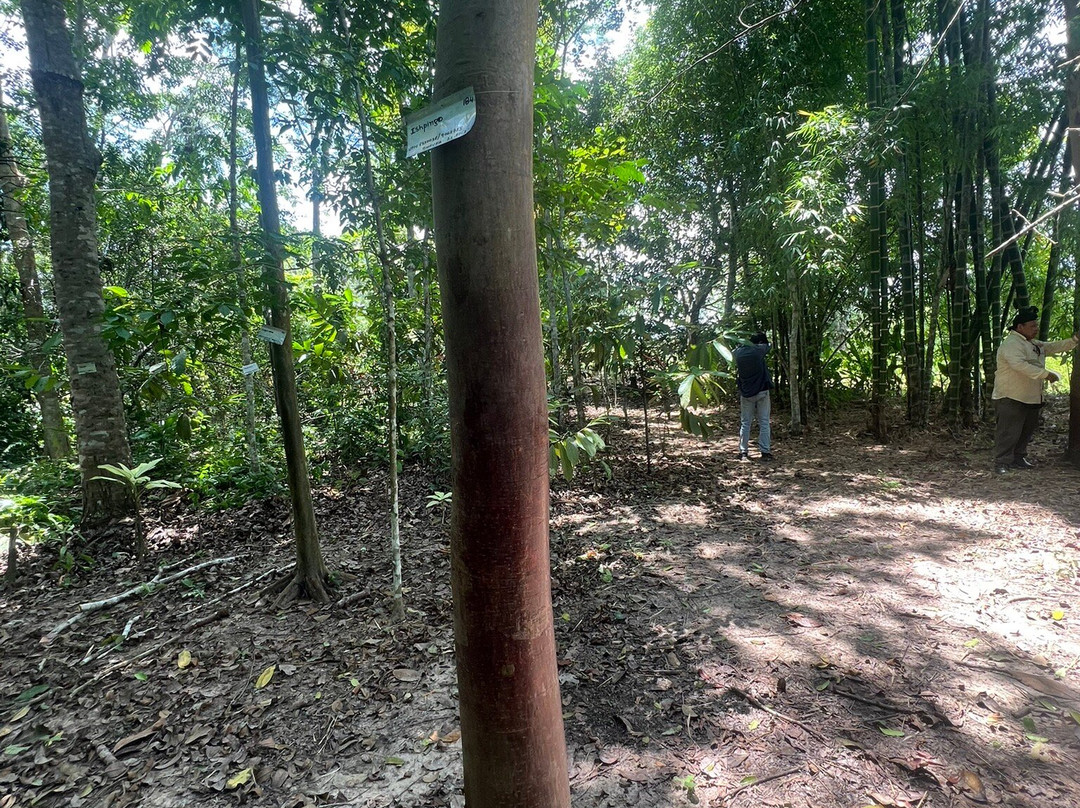 Jardin Botanico Bio-Kuka-Pucallpa必去景点