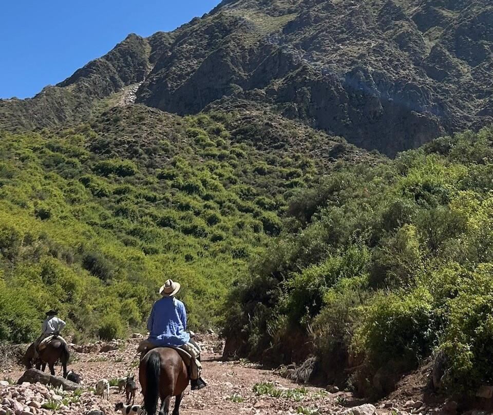 Cabalgatas El Durazno-Chacras de Coria必去景点