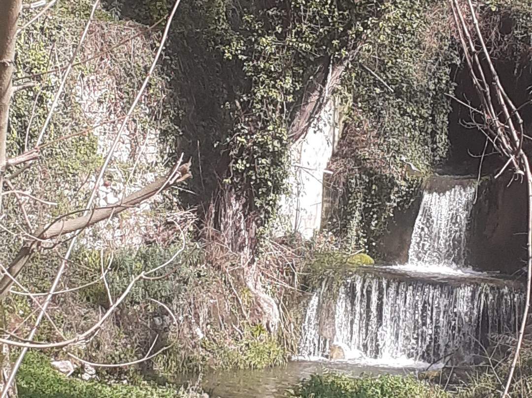 Le Sorgenti del Sele景点图片