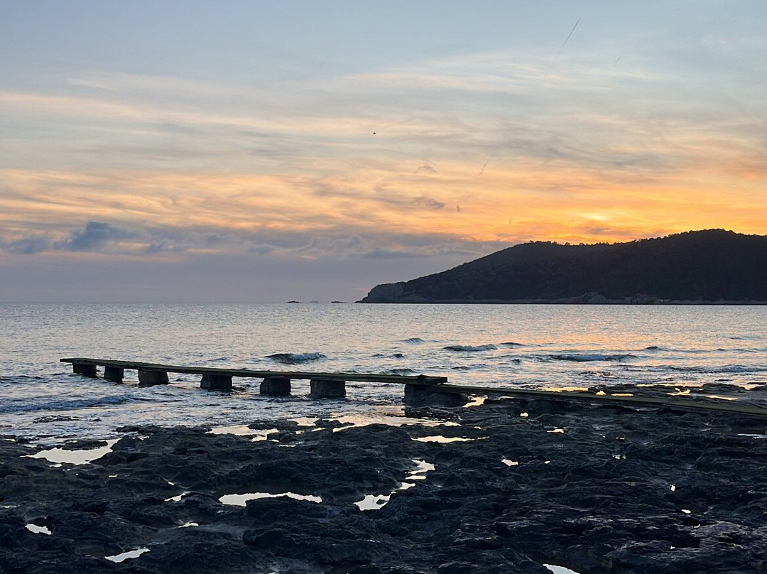 Parc Natural De Ses Salines-福门特拉岛必去景点