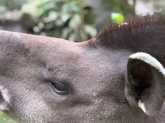 Gravity Bolivia-拉巴斯必去景点
