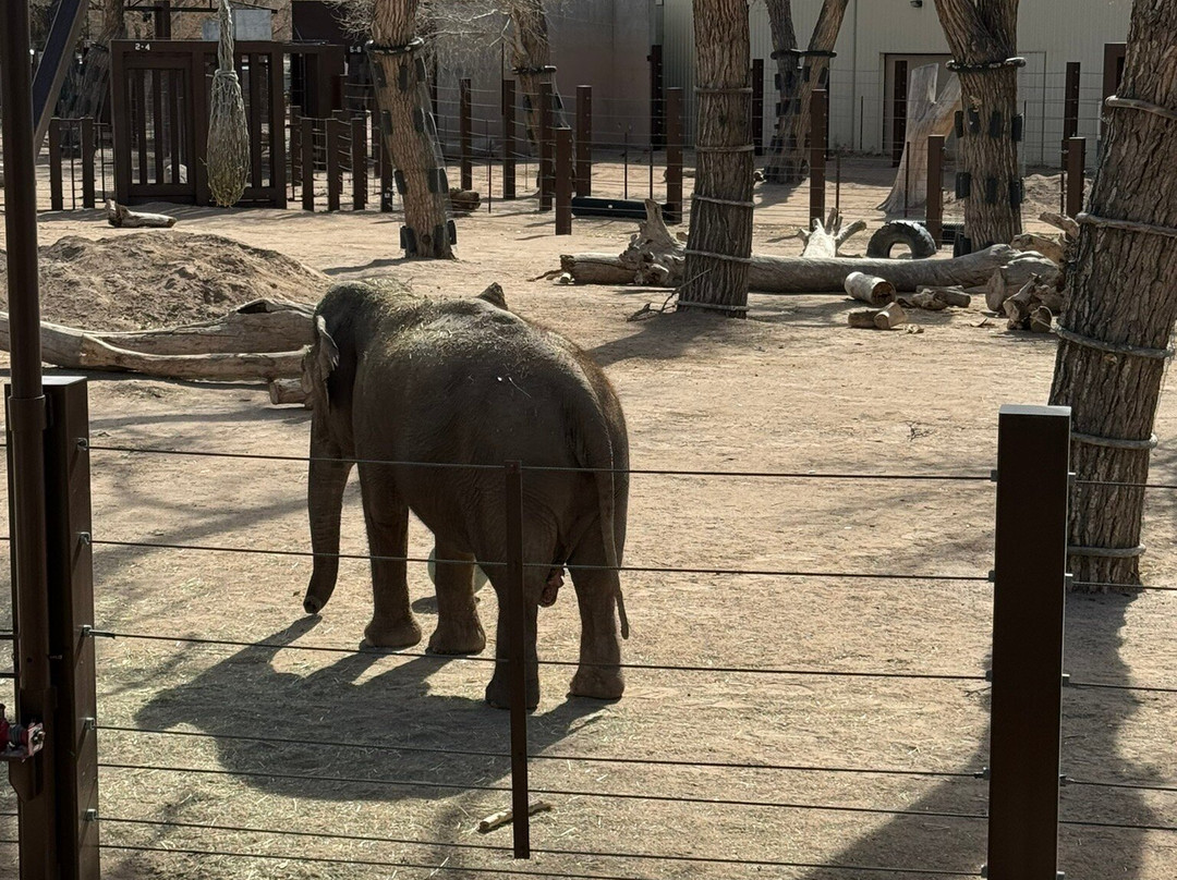 ABQ BioPark Zoo-阿尔伯克基必去景点