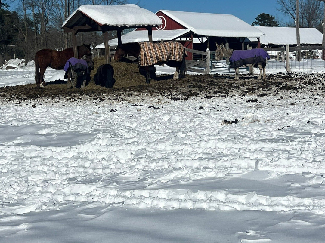 Circle B Ranch-Chestertown必去景点