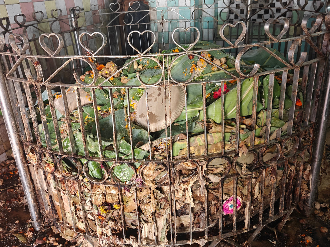 Maa Biraja Temple景点图片