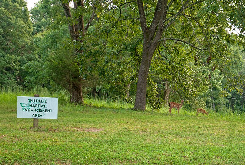 Barren River Lake State Resort Park-Lucas必去景点