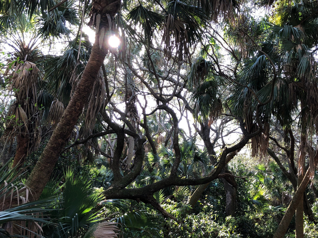 Frenchman's Forest Natural Area-棕榈滩花园必去景点