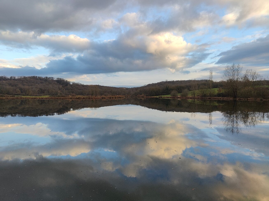 Etang De La Bryne