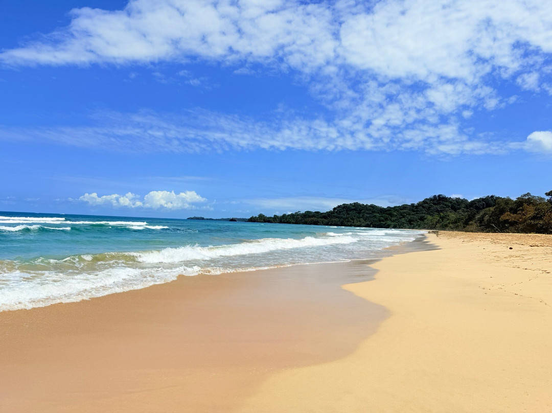 Wizard Beach景点图片