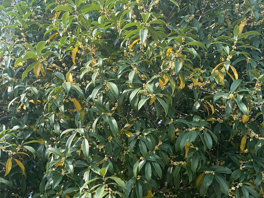 湖州潞村悦柳酒店主图