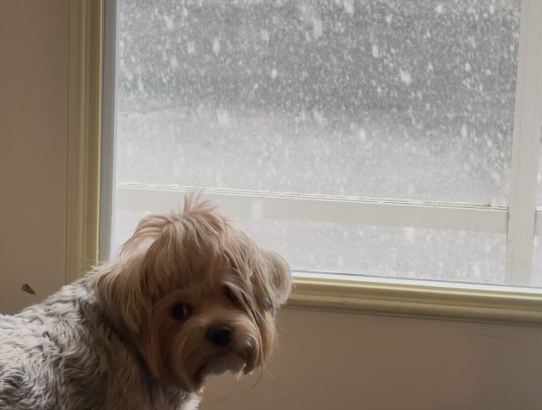 Oxford Suites Silverdale主图