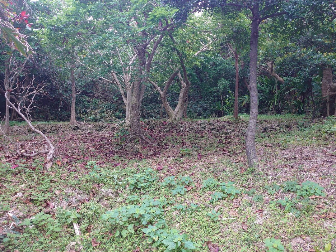 Shimotabaru Castle Ruins景点图片