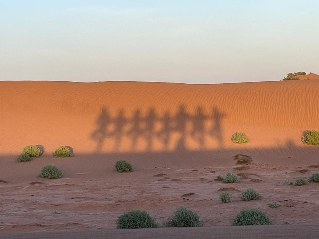 Sahara Soul Treks-扎古拉必去景点