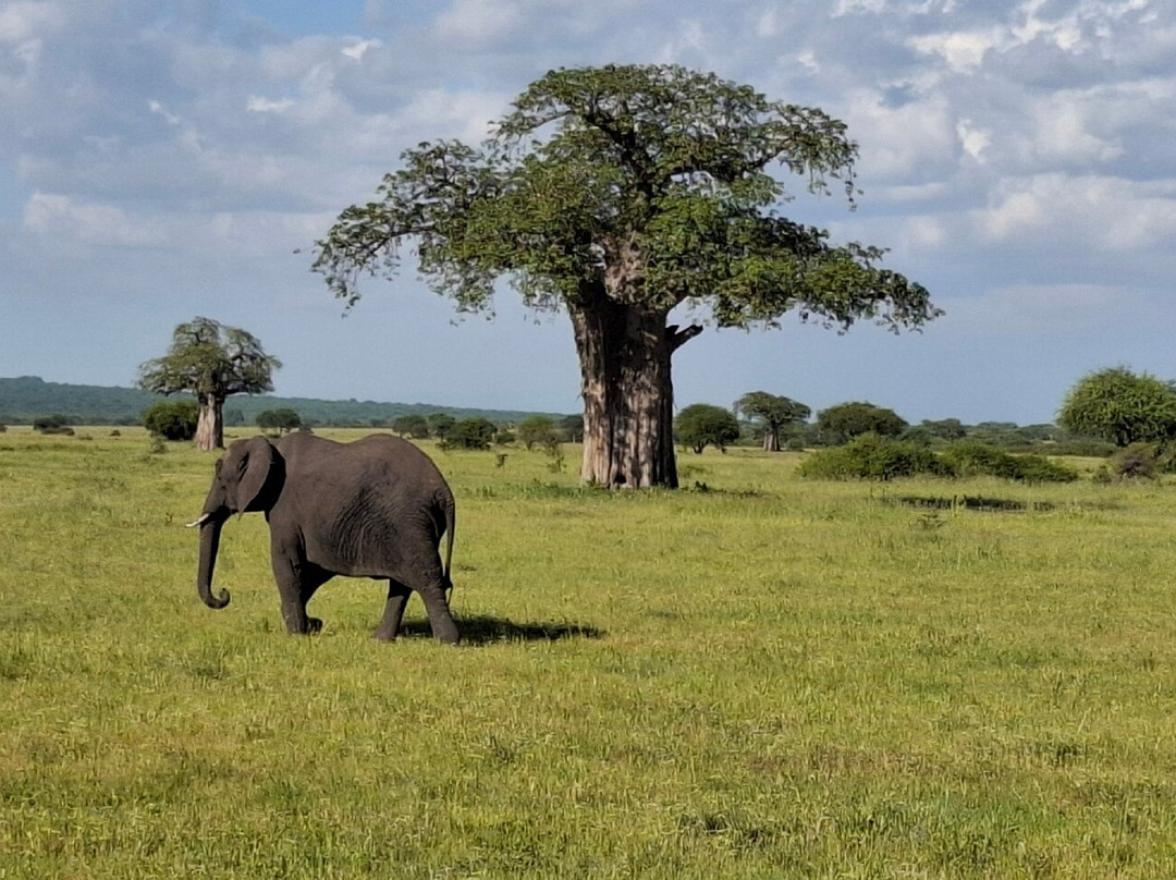 Momella African Adventure-阿鲁沙必去景点
