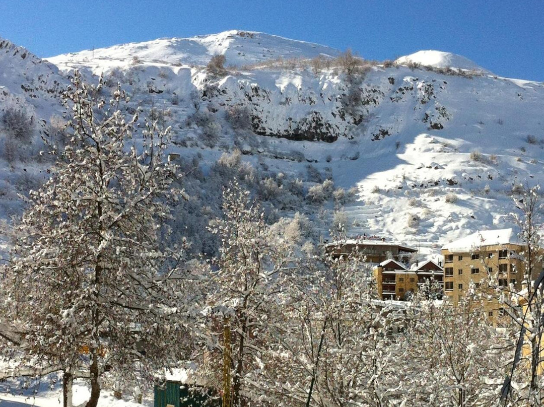 Faraya Residencia