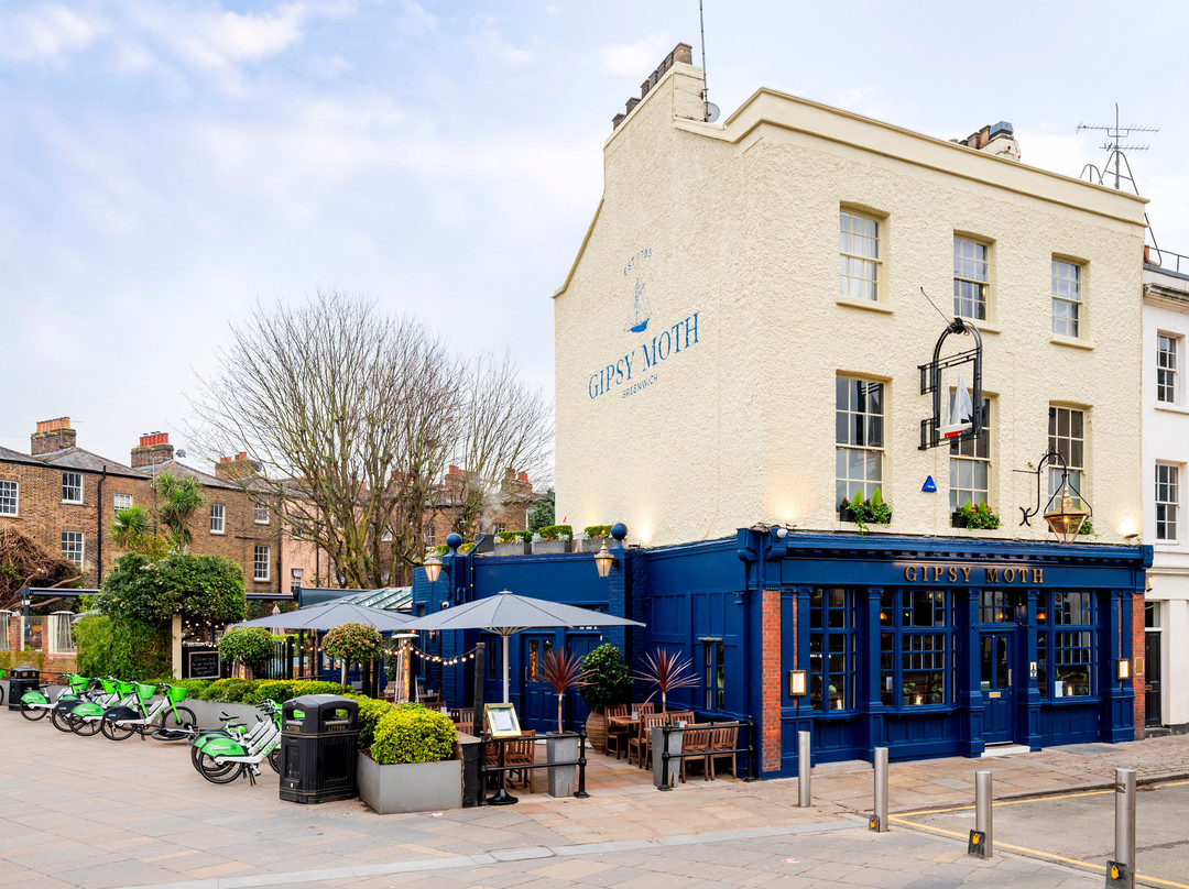 The Gipsy Moth主图