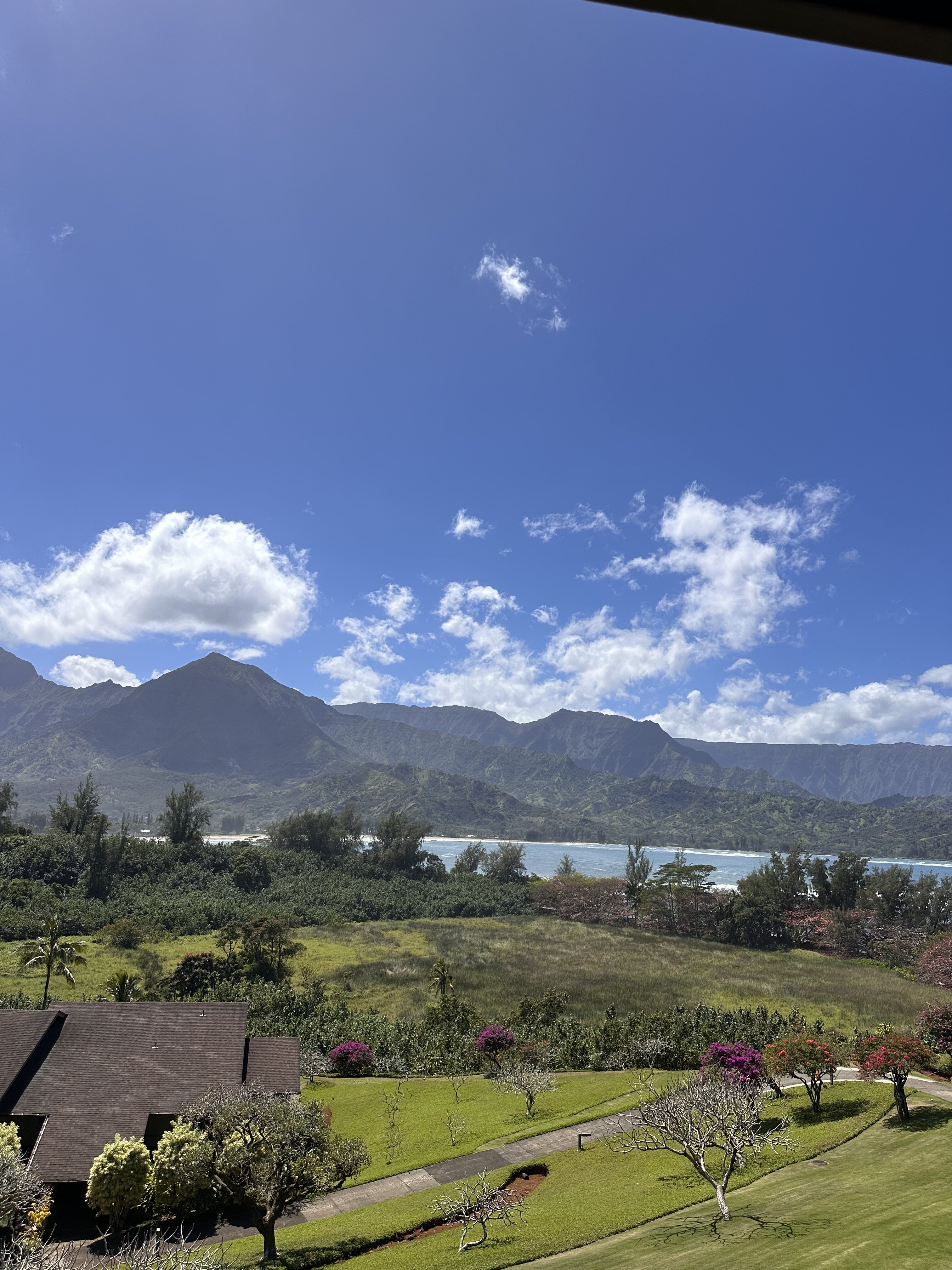 Hanalei Bay Resort-酒店景观