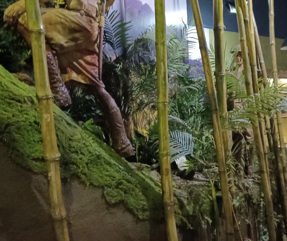 Army Museum of Western Australia景点图片