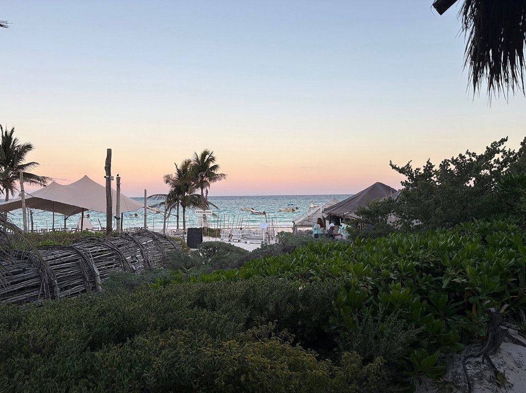 佩斯卡多雷斯酒店主图