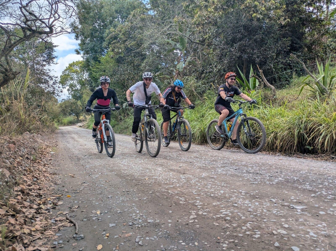 Bike Multi Activity景点图片
