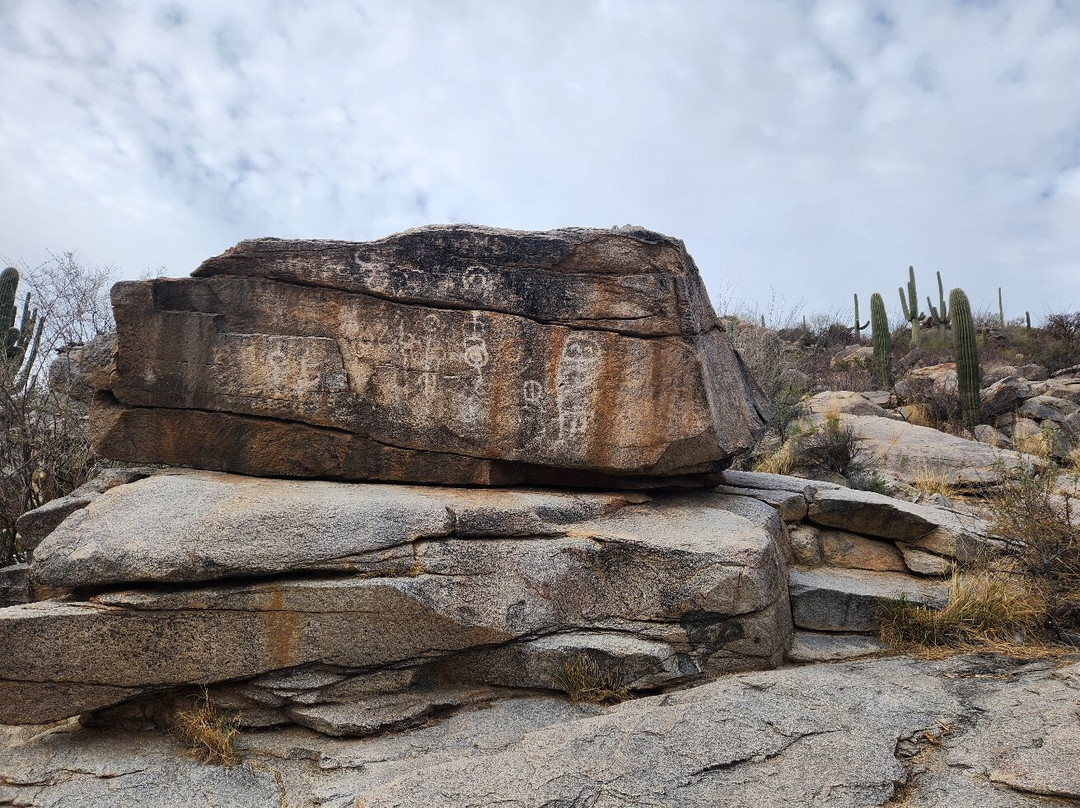 Honeybee Canyon Park-Oro Valley必去景点