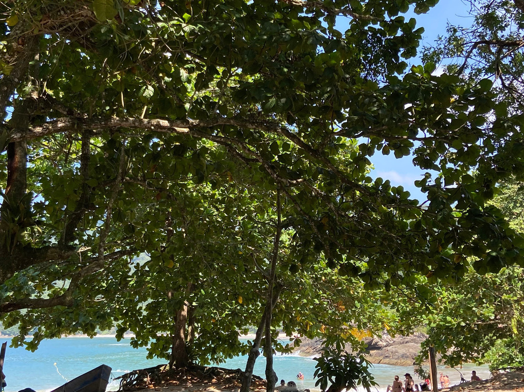 Praia do Meio景点图片