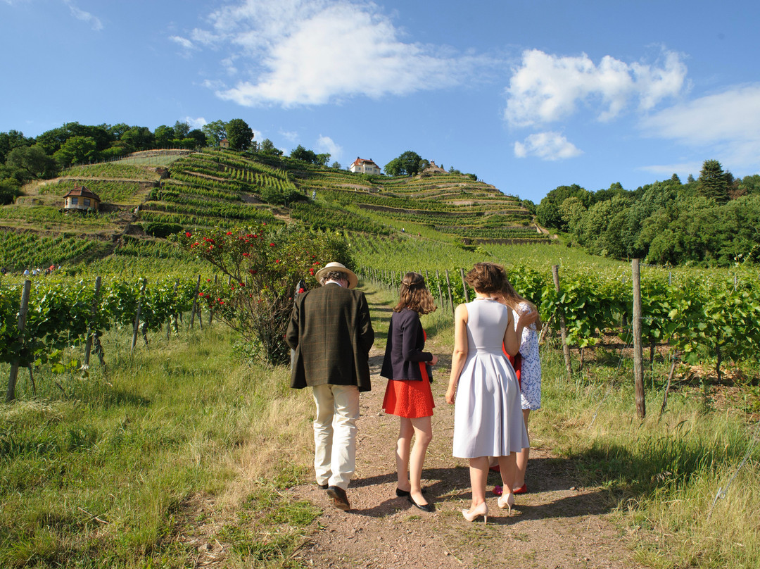 Weingut Drei Herren-Radebeul必去景点