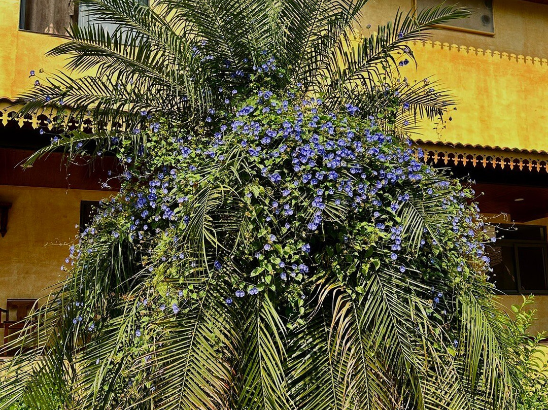 Indus Valley Ayurvedic Centre主图