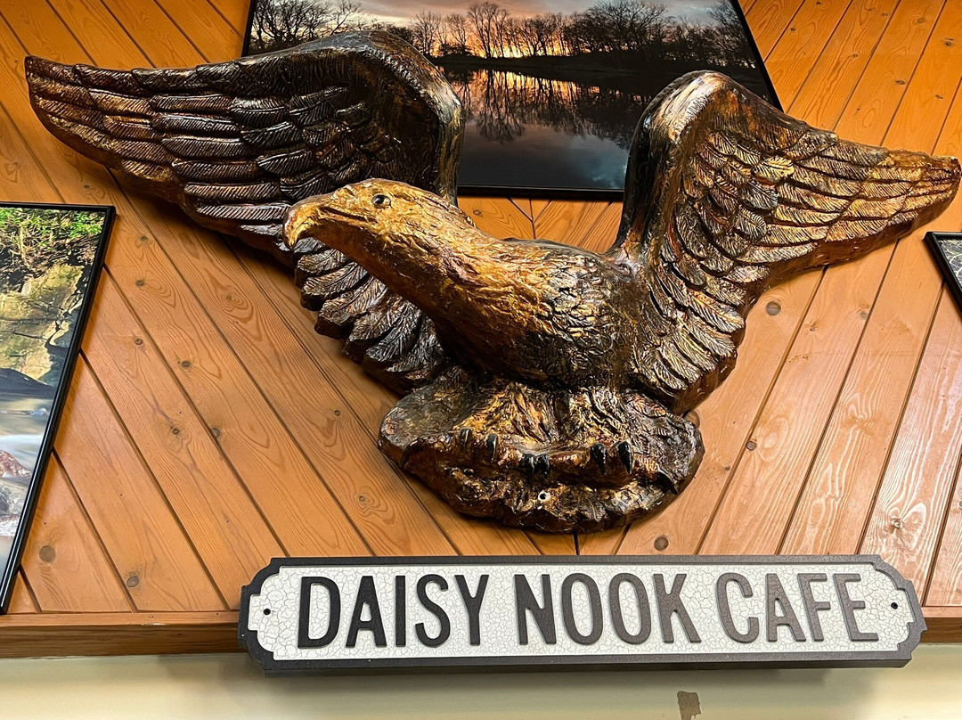 Daisy Nook Country Park景点图片