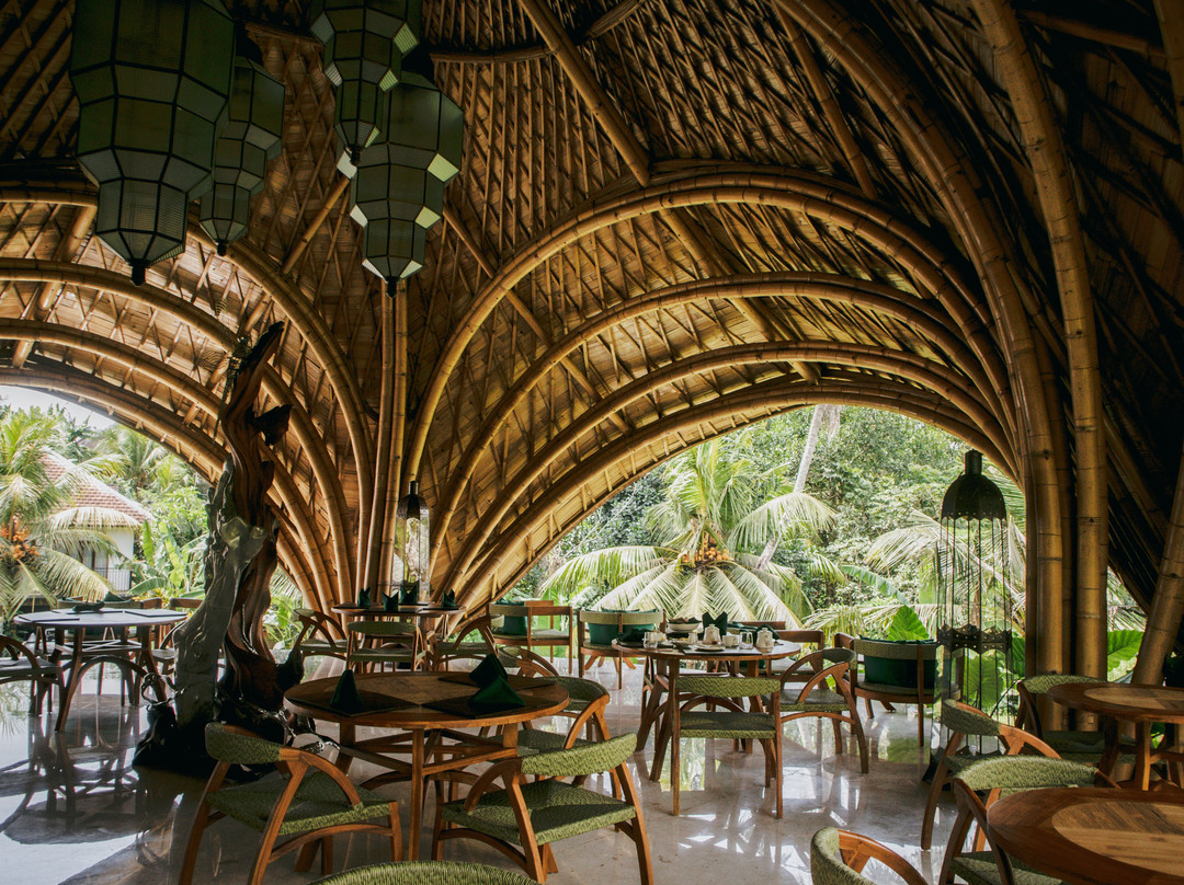 Beiji Rainforest Restaurant And Bar