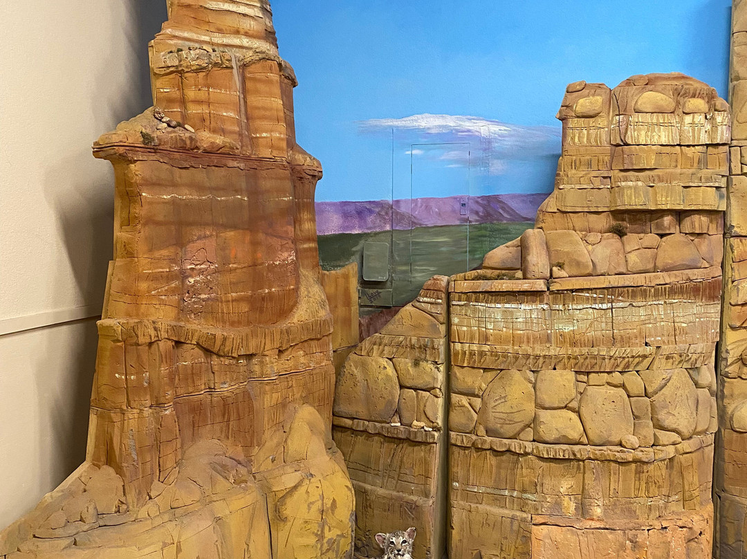 White Deer Land Museum-Pampa必去景点